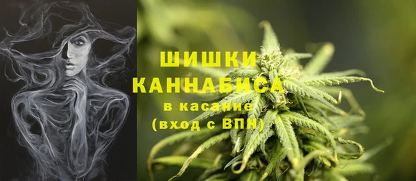 МДПВ Богородск