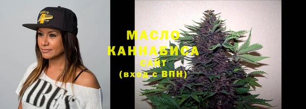 МДПВ Богородск