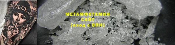 прущие грибы Белокуриха