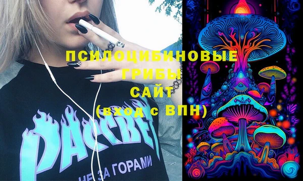 шишки Верхнеуральск